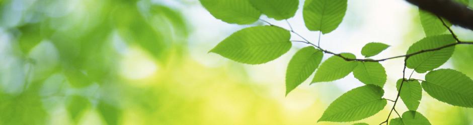 Environmental Responsibility